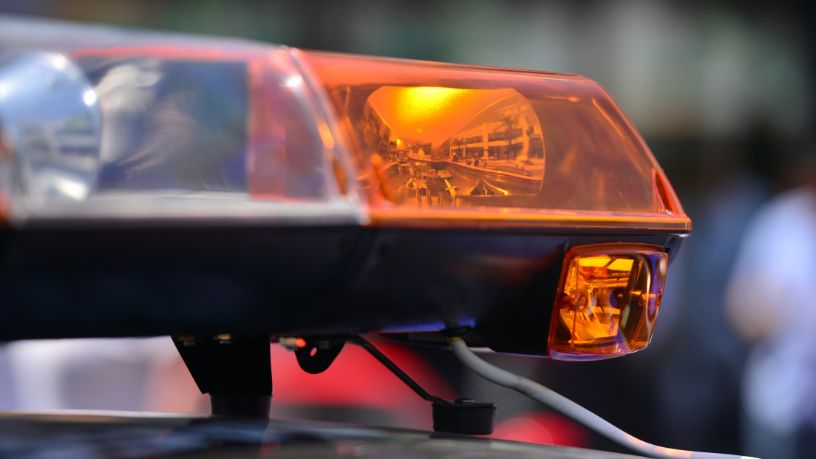 PM apreende 48 toneladas de maconha no Complexo da Maré: impacto e desafios para a segurança pública