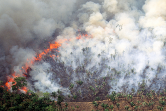 Brasil tem menor área queimada na Amazônia em 41 anos, aponta novo relatório