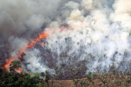 Brasil tem menor área queimada na Amazônia em 41 anos, aponta novo relatório
