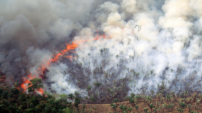 Brasil tem menor área queimada na Amazônia em 41 anos, aponta novo relatório