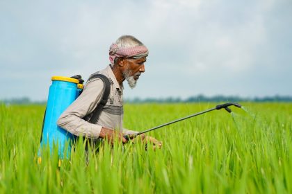 Agricultor idoso aplica pesticida com um pulverizador costal em uma plantação verde.